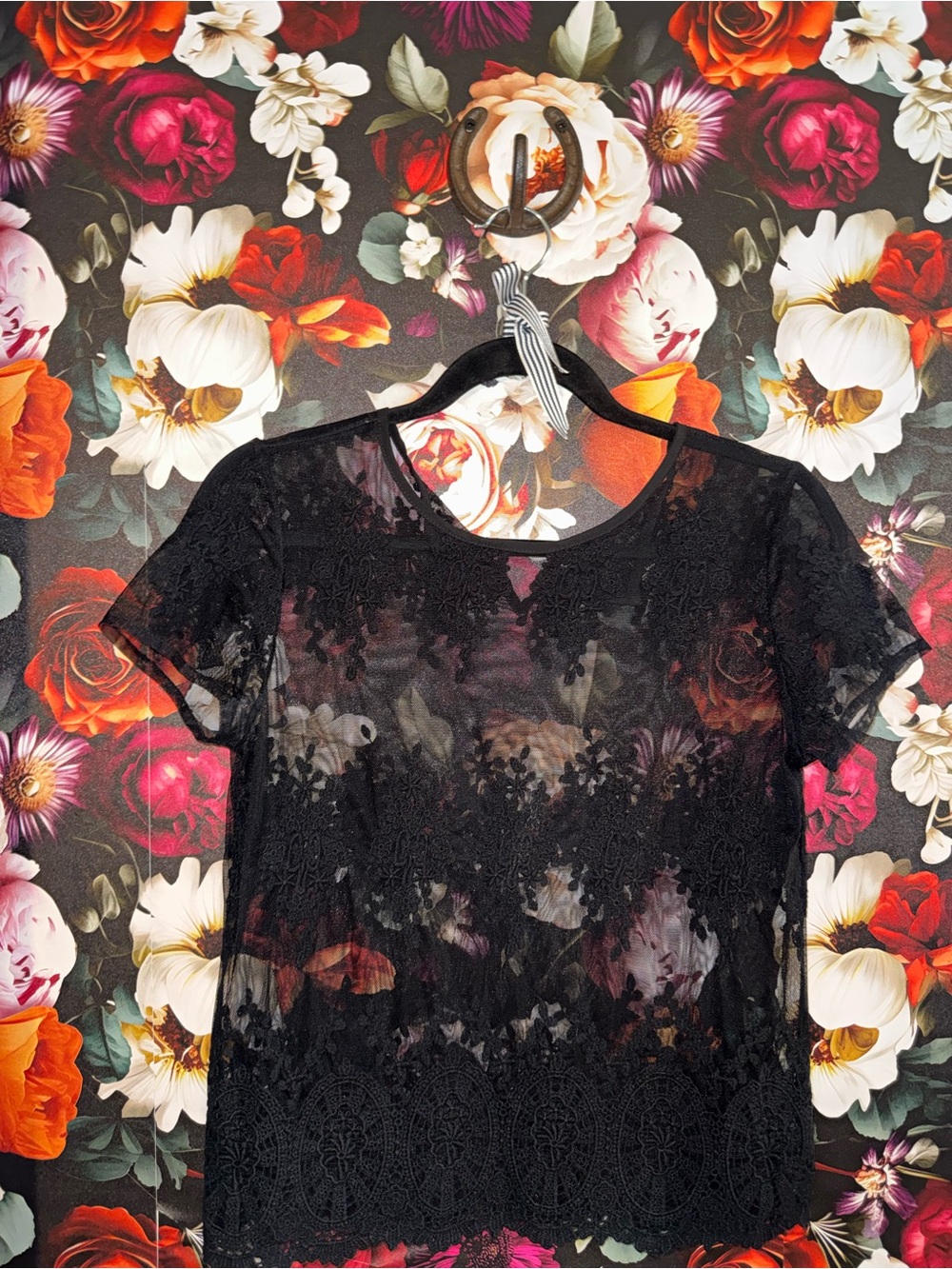 Forever 21 Black Lace Cropped Short-Sleeve Sheer Top, Size Small